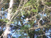 100_6137.jpg